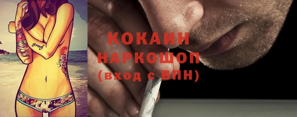 прущие грибы Медвежьегорск