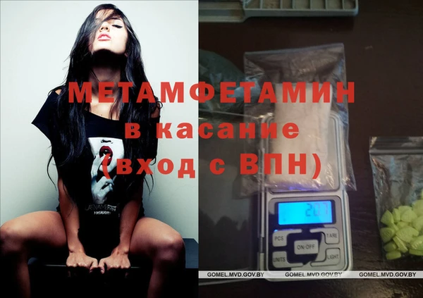 прущие грибы Медвежьегорск