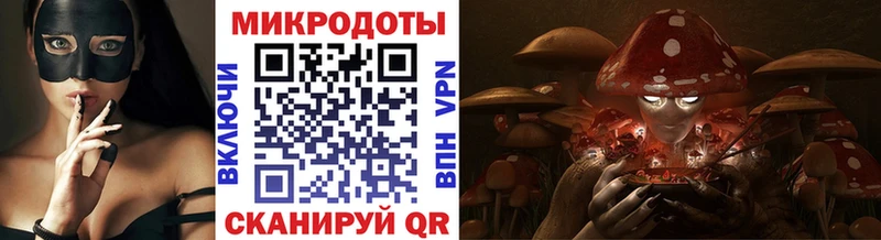 Галлюциногенные грибы Magic Shrooms  Купить где  Кстово 